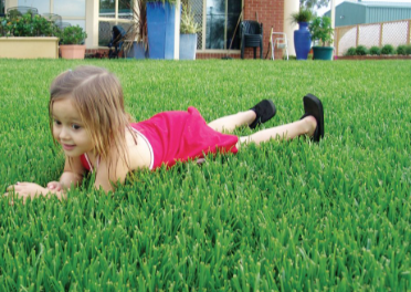 What Is The Best Lawn Type For Homes With Kids And Pets